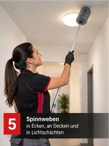 Spinnweben in Ecken, an Decken und in Lichtschächten – Mitarbeiterin entfernt Spinnweben an der Decke